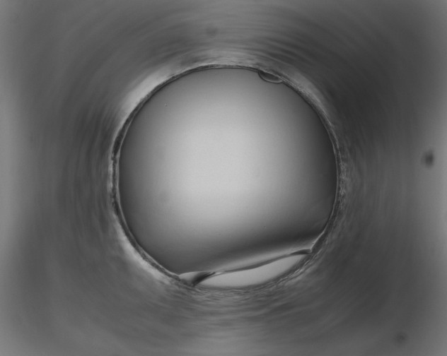 X0000116681095200912291714