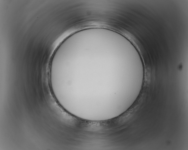 X0000116681098200912291714