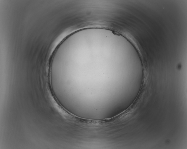 X0000116681099200912291714