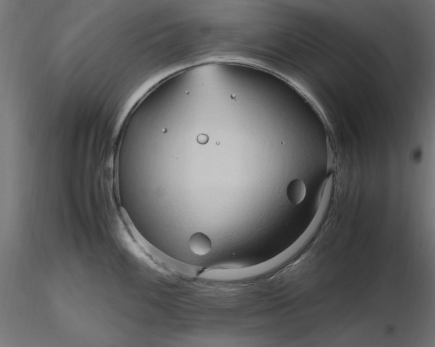 X0000116681100200912291714