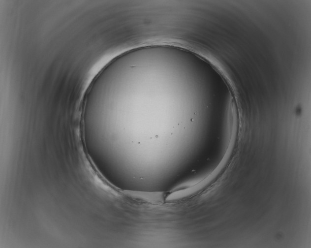 X0000116681102200912291714