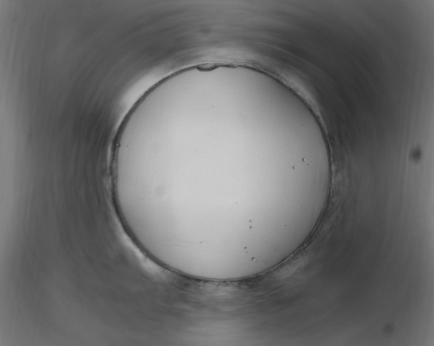 X0000116681103200912291714