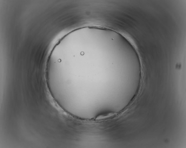 X0000116681104200912291714