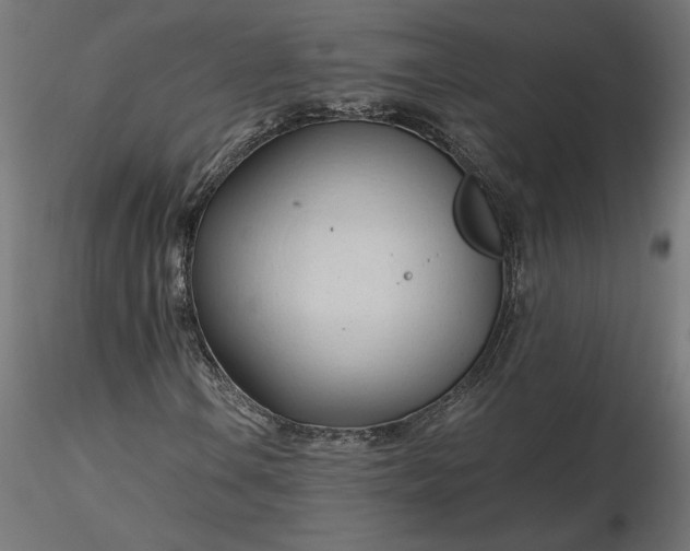 X0000116681106200912291713