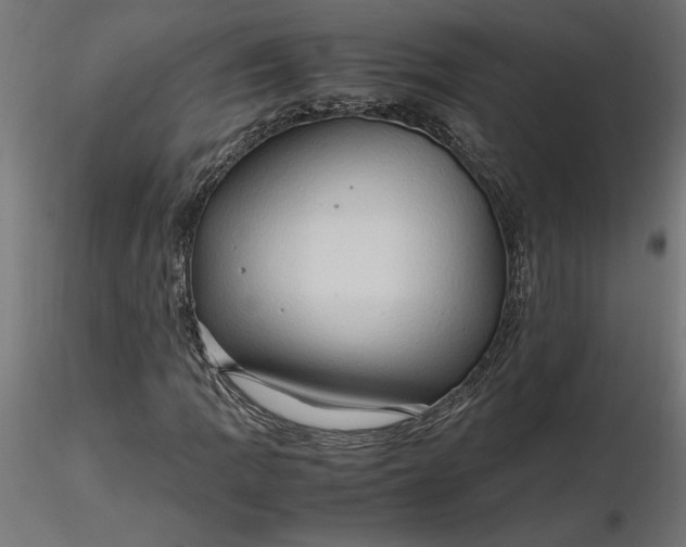 X0000116681109200912291713