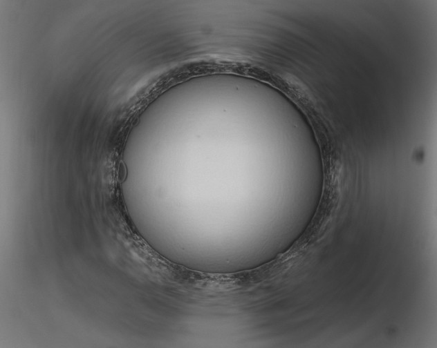 X0000116681110200912291713