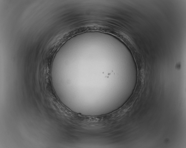 X0000116681111200912291713