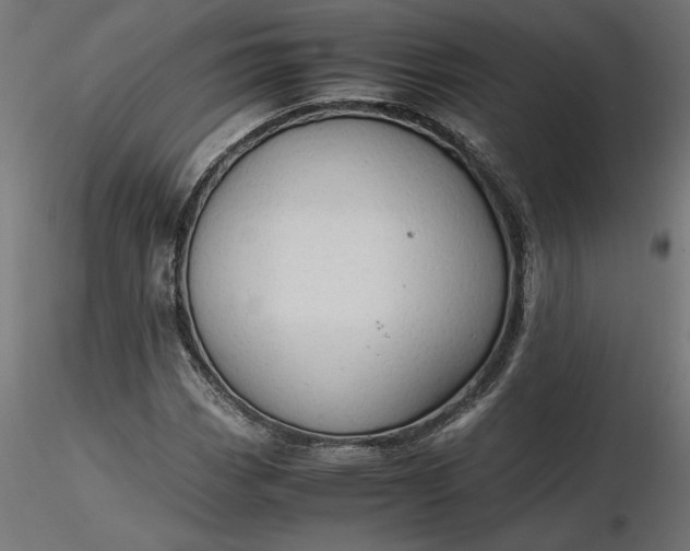 X0000116681113200912291713