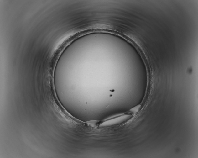 X0000116681115200912291713