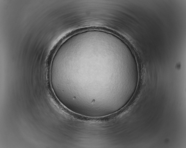 X0000116681118200912291713