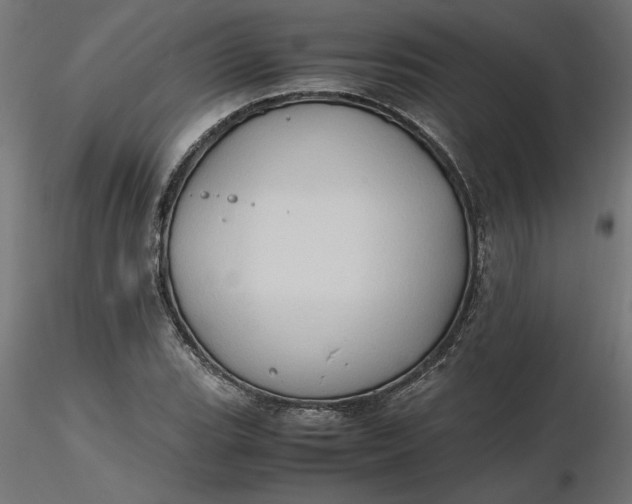 X0000116681119200912291714