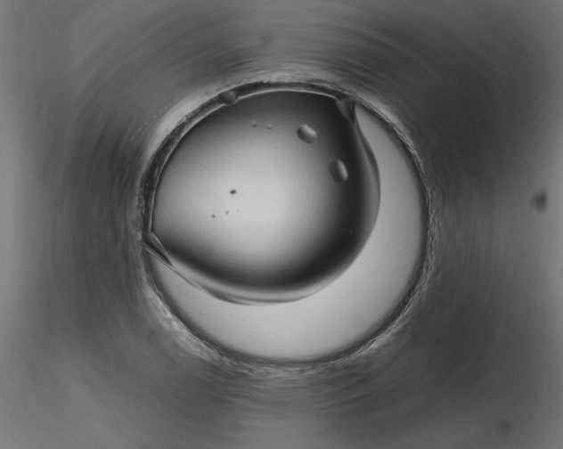 X0000116681122200912291714