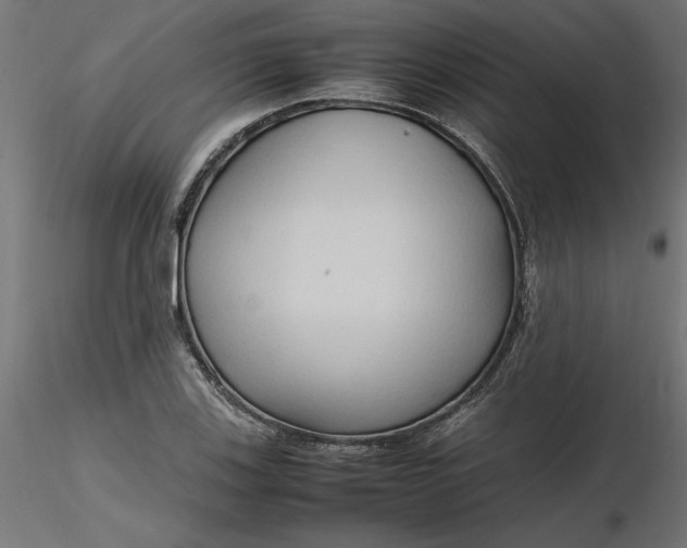 X0000116681123200912291714