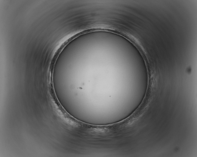 X0000116681125200912291714