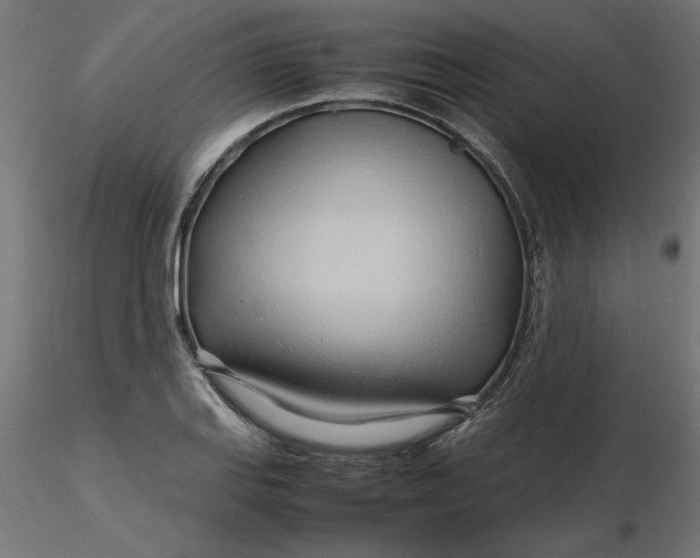 X0000116681127200912291714