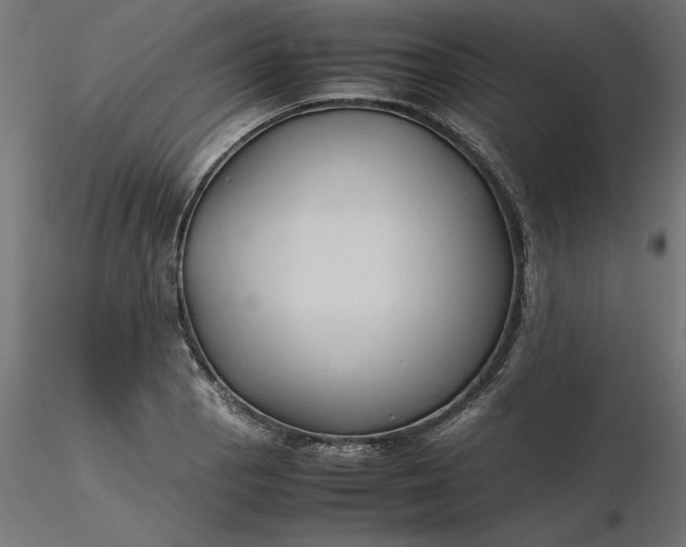 X0000116681129200912291714