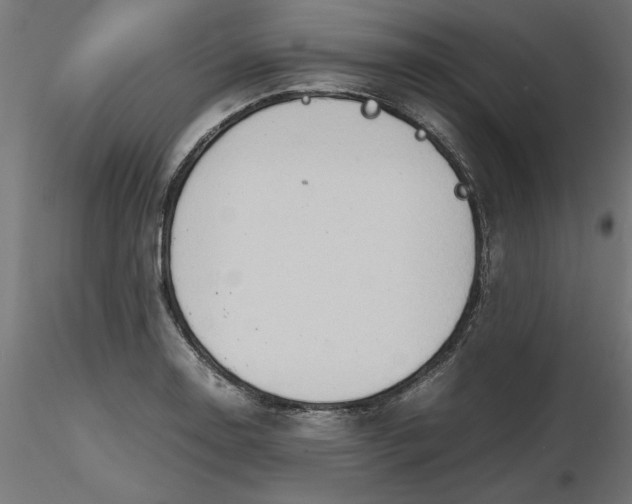 X0000116681130200912291714