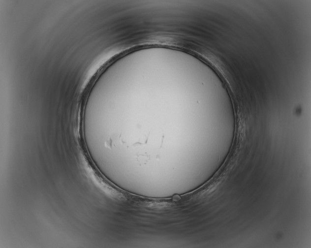 X0000116681131200912291714