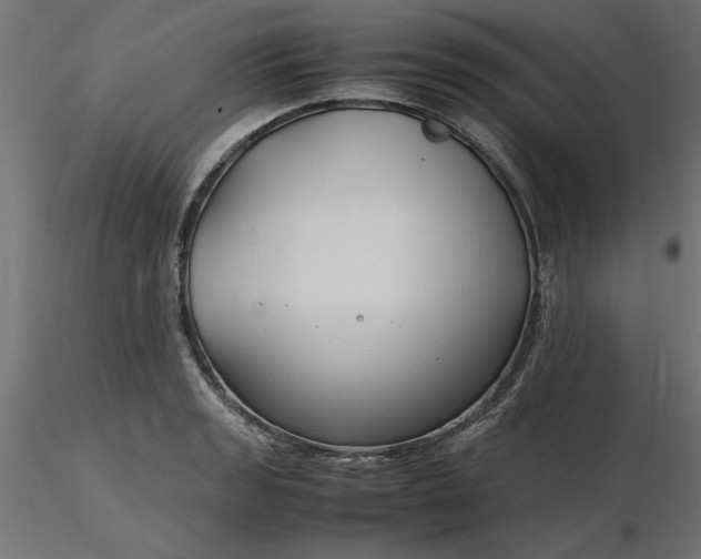 X0000116681133200912291714