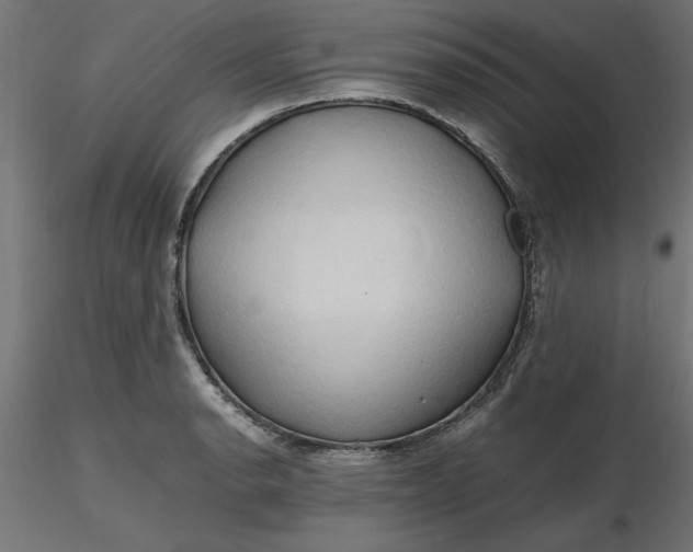 X0000116681134200912291714