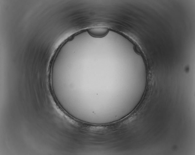 X0000116681135200912291714