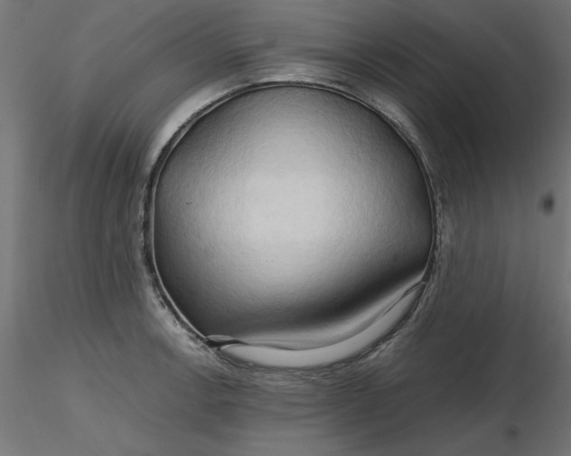 X0000116681138200912291714