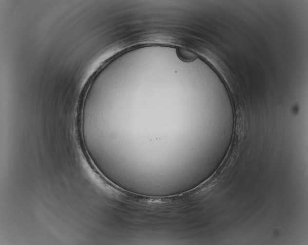 X0000116681139200912291714