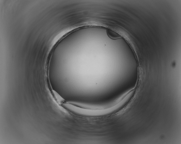 X0000116681141200912291714