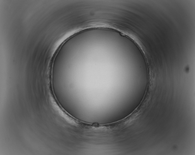 X0000116681142200912291714