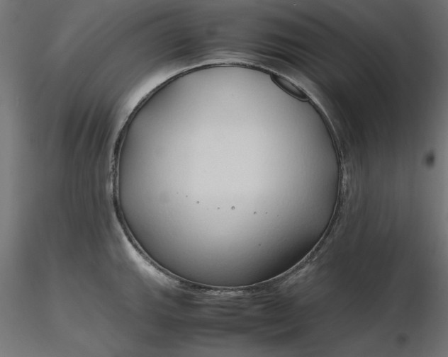 X0000116681143200912291714