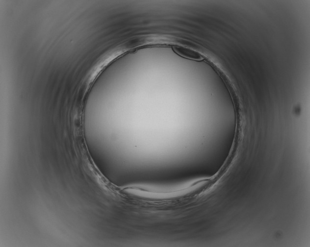 X0000116681145200912291714