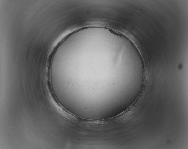 X0000116681147200912291714