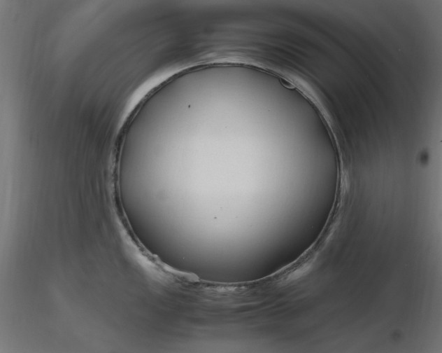 X0000116681149200912291714