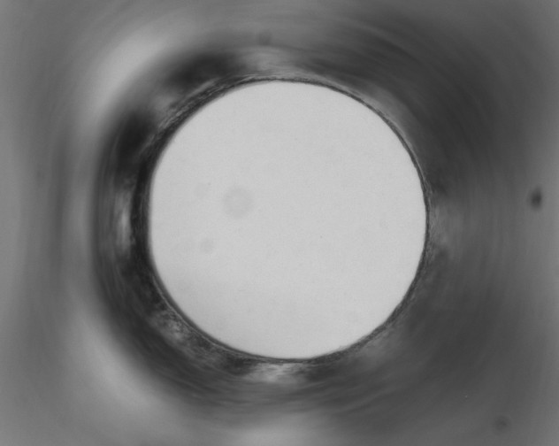 X0000116681150200912291714