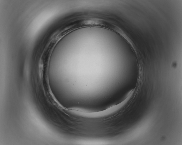 X0000116681151200912291714