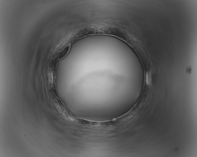 X0000116681155200912291713