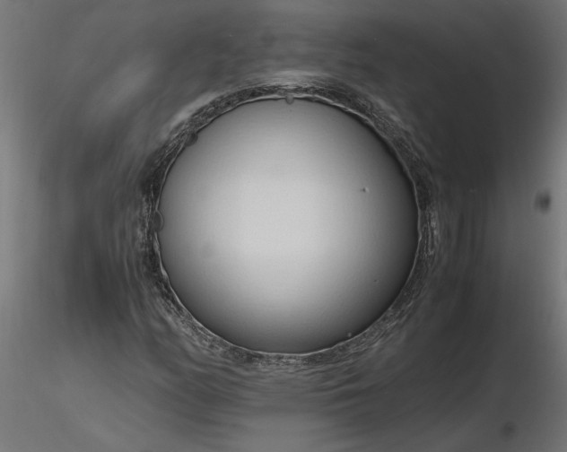 X0000116681158200912291713