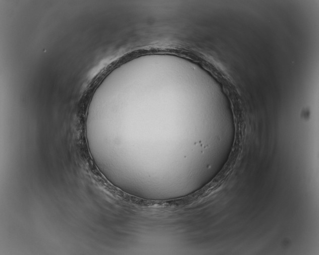 X0000116681160200912291713