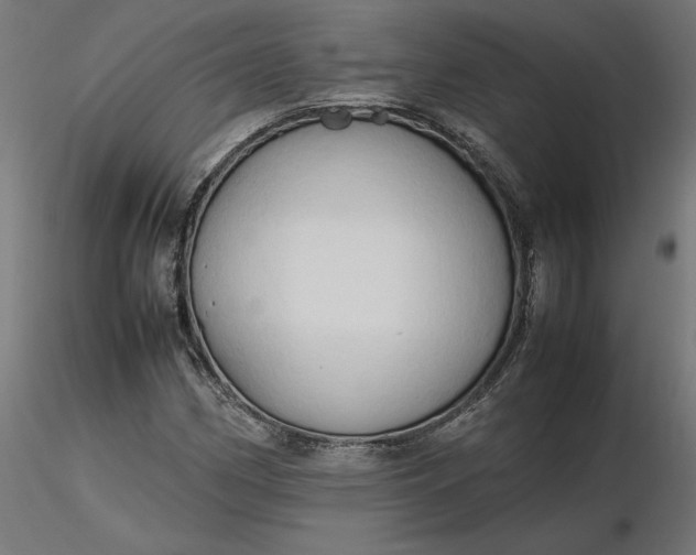 X0000116681162200912291713