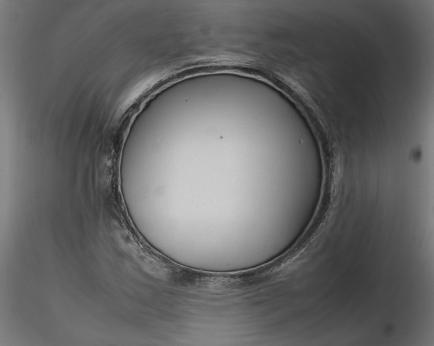 X0000116681163200912291713