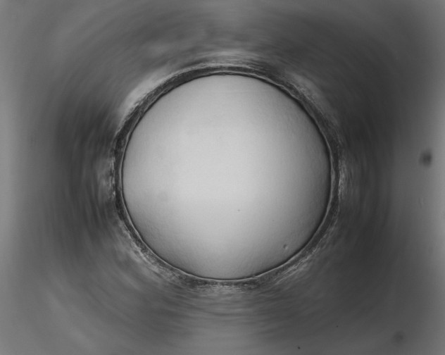 X0000116681164200912291713