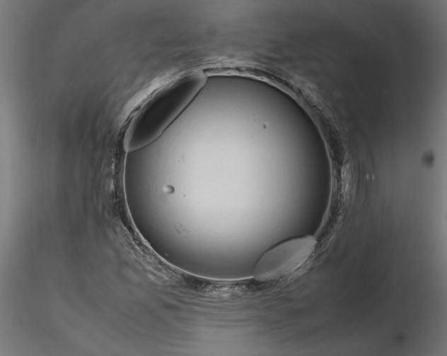 X0000116681165200912291713