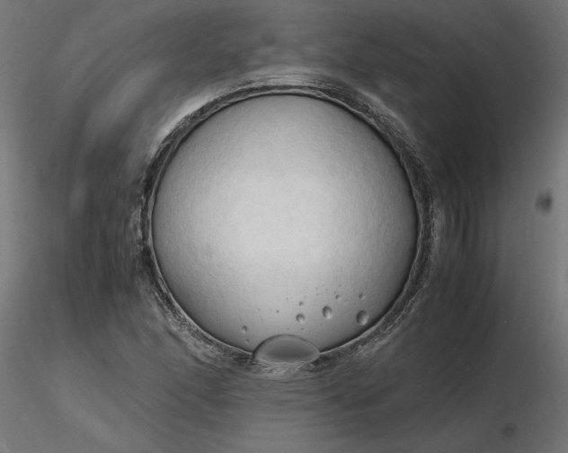 X0000116681166200912291713