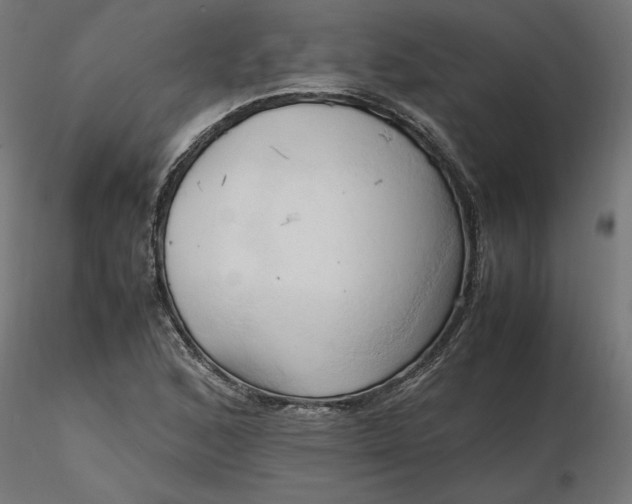 X0000116681168200912291713