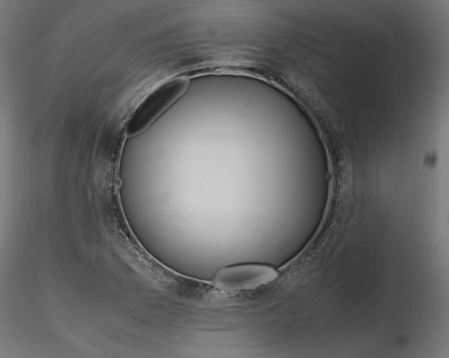 X0000116681169200912291713