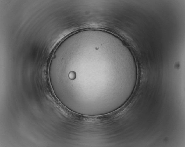 X0000116681170200912291713