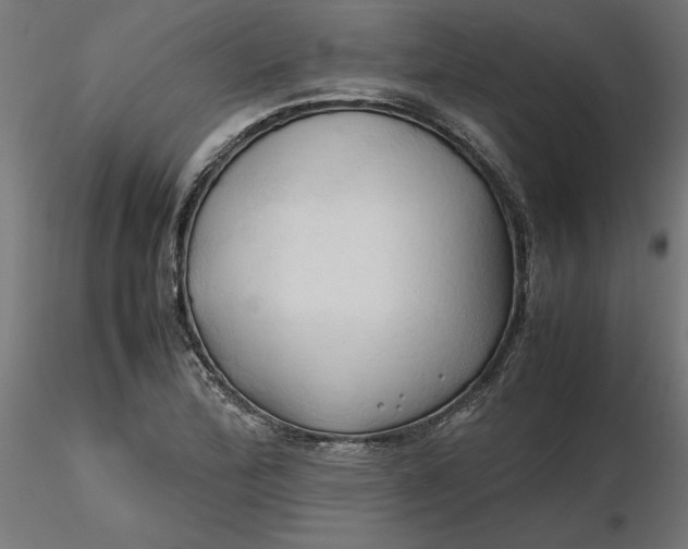 X0000116681172200912291713