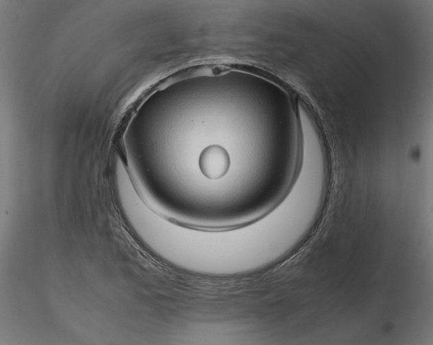 X0000116681173200912291713