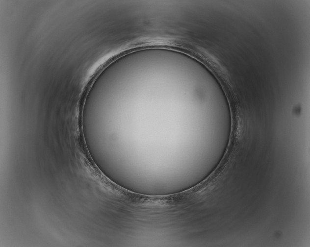 X0000116681174200912291713