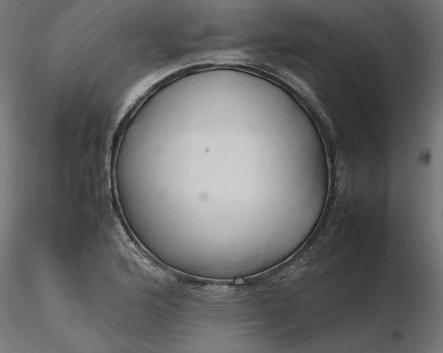 X0000116681176200912291713